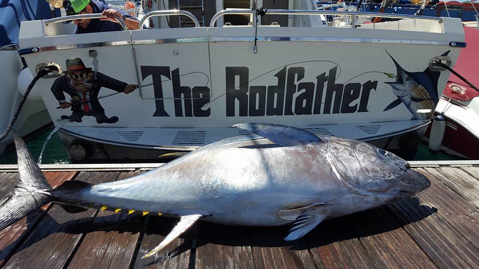 120 Kg Yellowfin Tuna