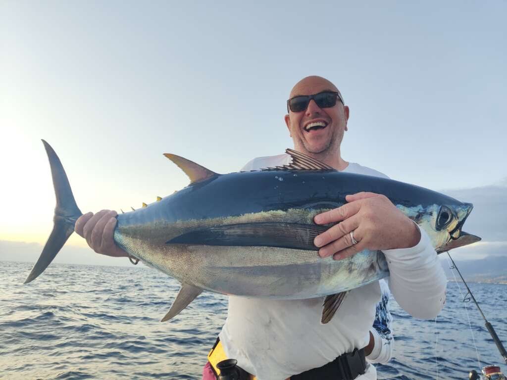 Albacore Tuna - (Thunnus alalunga)