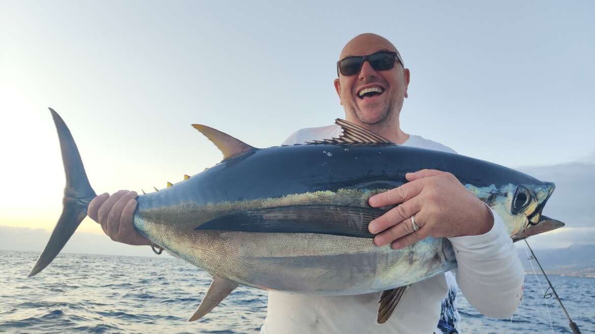 Albacore Tuna – (Thunnus alalunga)
