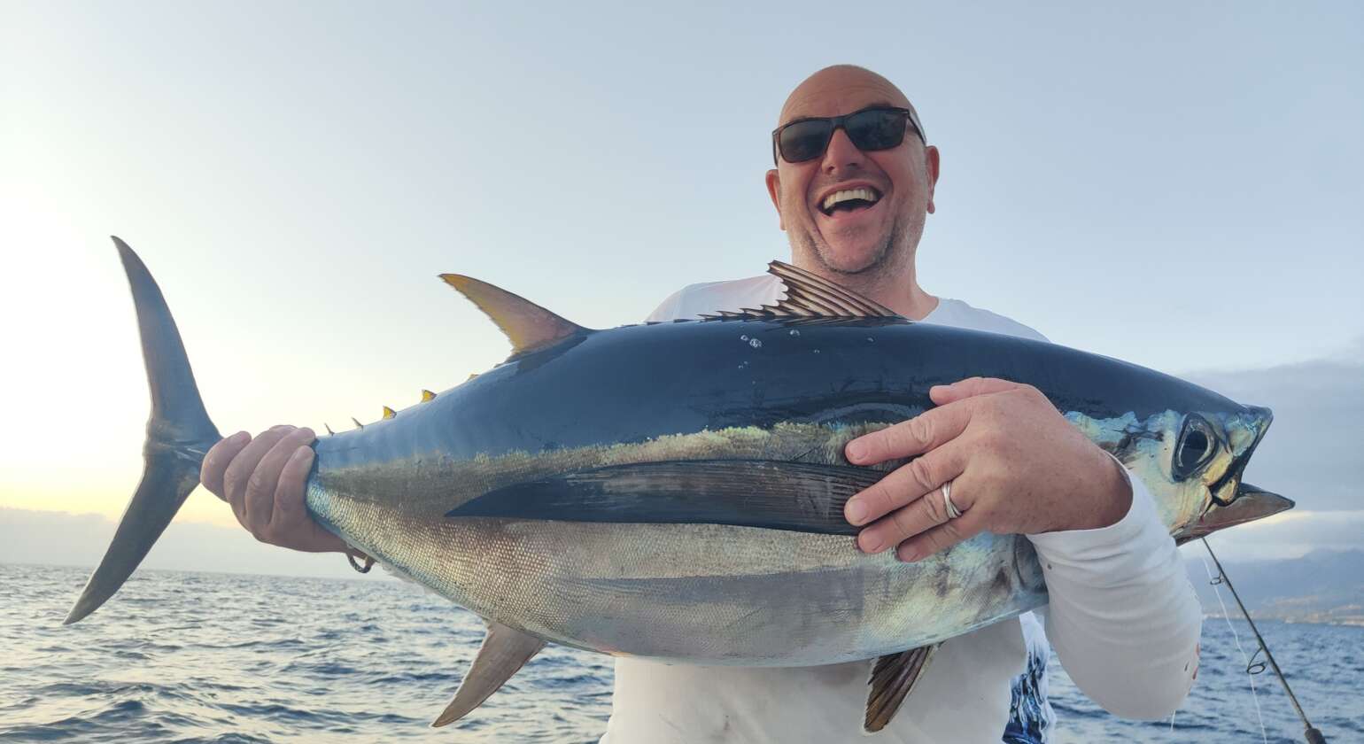 Albacore Tuna – (Thunnus alalunga)