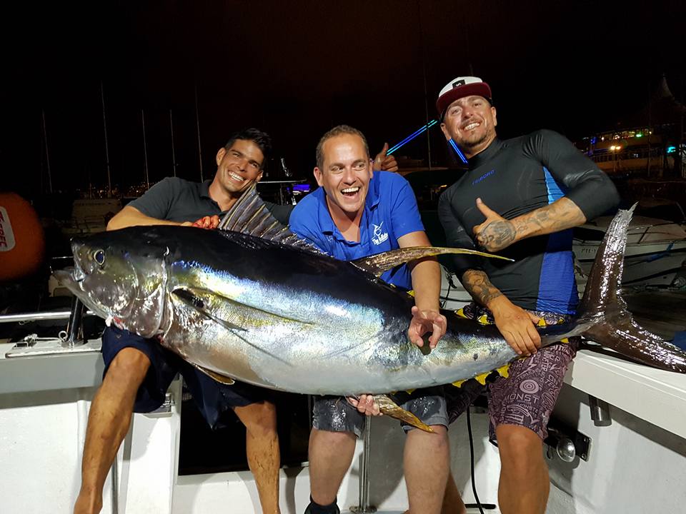 Yellowfin Tuna – (Thunnus albacares)